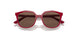293173 - Pink - Dark Brown