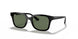 100/71 - Black - Dark Green