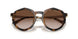 821313 - Tortoise - Gradient Brown