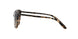 146213 - Brown - Dark Brown Gradient