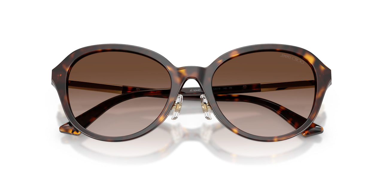 500213 - Tortoise - Gradient Brown