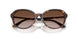 500213 - Tortoise - Gradient Brown