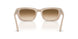 119551 - Brown - Clear Gradient Brown