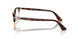 24/GJ - Tortoise - Transitions 8 Green