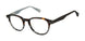 Ted Baker TLM004 Eyeglasses