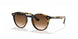 152/13 - Havana - Brown Gradient