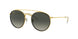 Ray-Ban 3647N Sunglasses