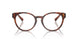 8002 - Tortoise