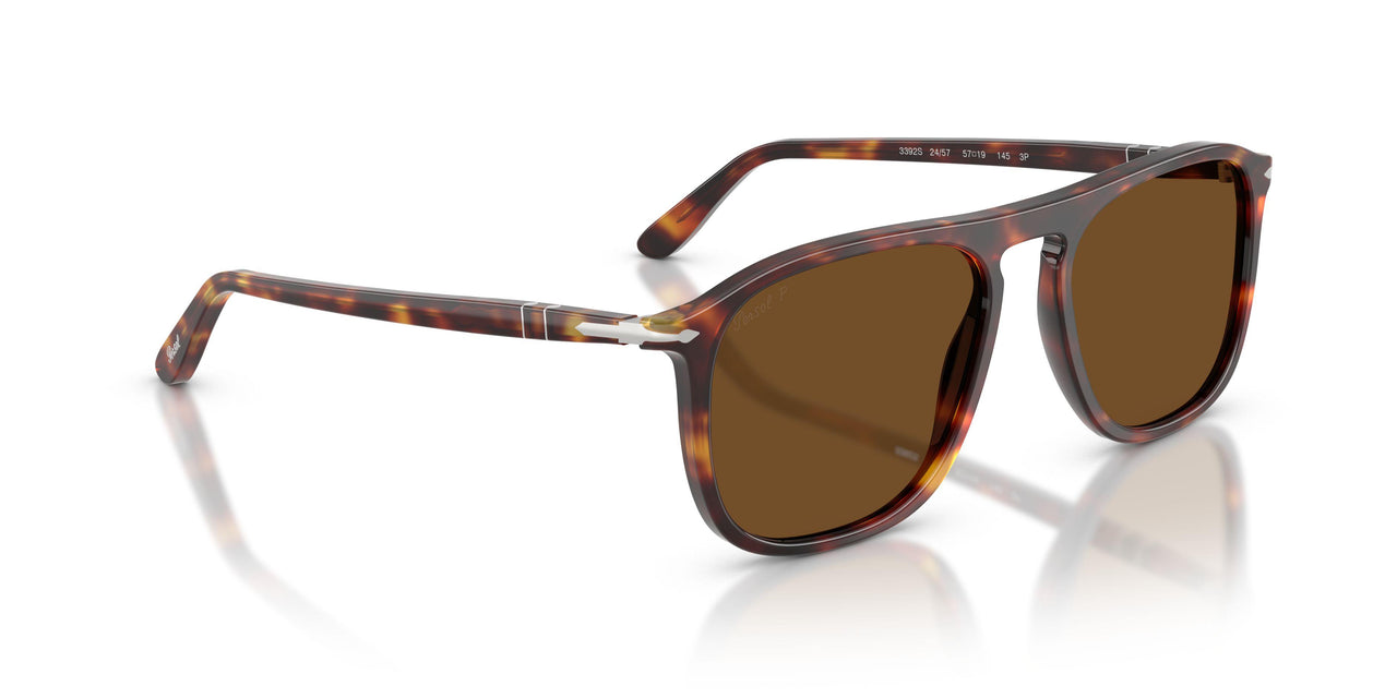 24/57 - Tortoise - Polar Brown