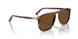 24/57 - Tortoise - Polar Brown