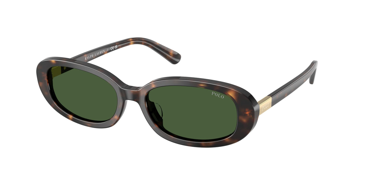 Polo 4198U Sunglasses