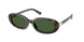 Polo 4198U Sunglasses