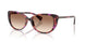 623913 - Violet - Gradient Brown