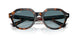 14133M - Tortoise - Blue Gradient Grey