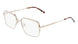 DKNY DK1036 Eyeglasses