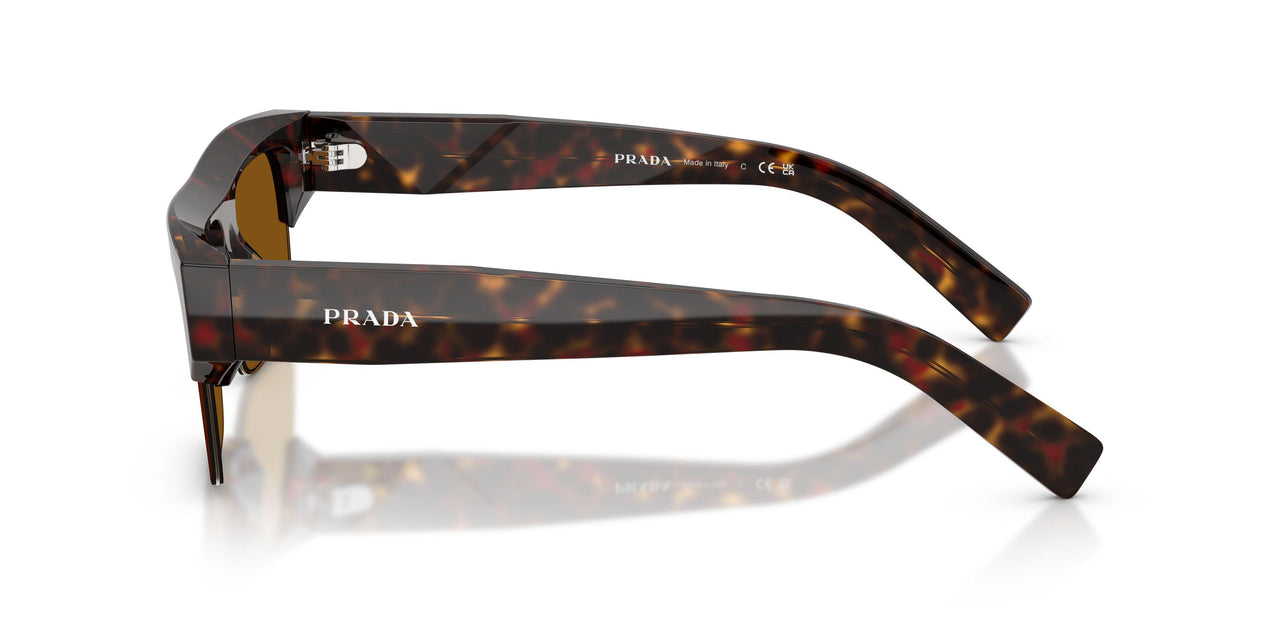 17N20V - Tortoise - Dark Bronze