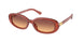 Polo 4198U Sunglasses