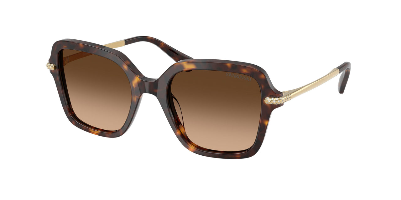 100274 - Tortoise - Gradient Brown