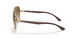 001/51 - Brown - Clear Gradient Brown