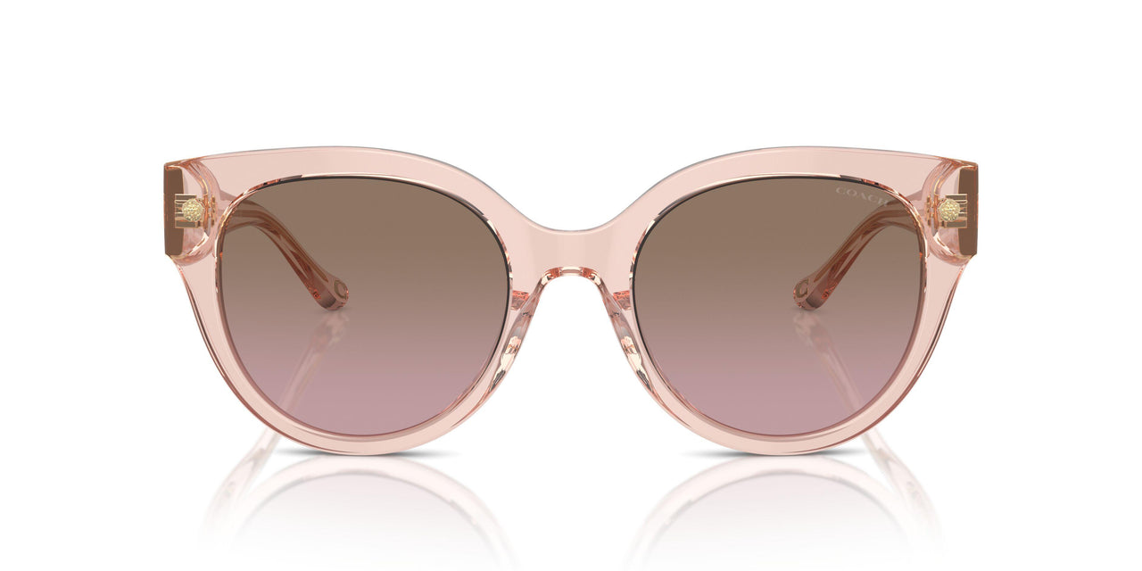 566814 - Pink - Brown Pink Gradient