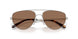 900173 - Silver - Brown