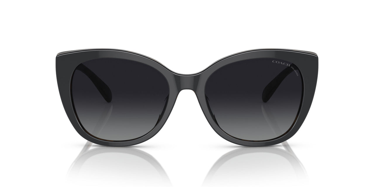 5764T3 - Black - Grey Gradient Polar