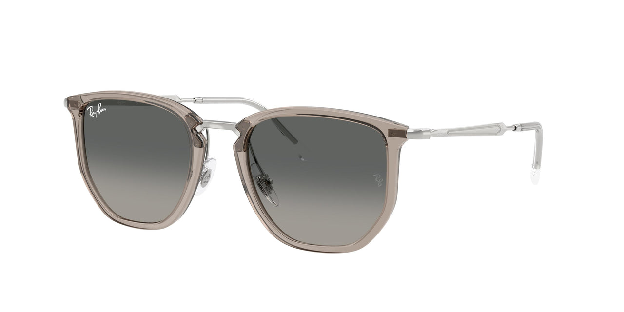 Ray-Ban 4451 Sunglasses