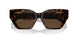 80153G - Tortoise - Light Brown