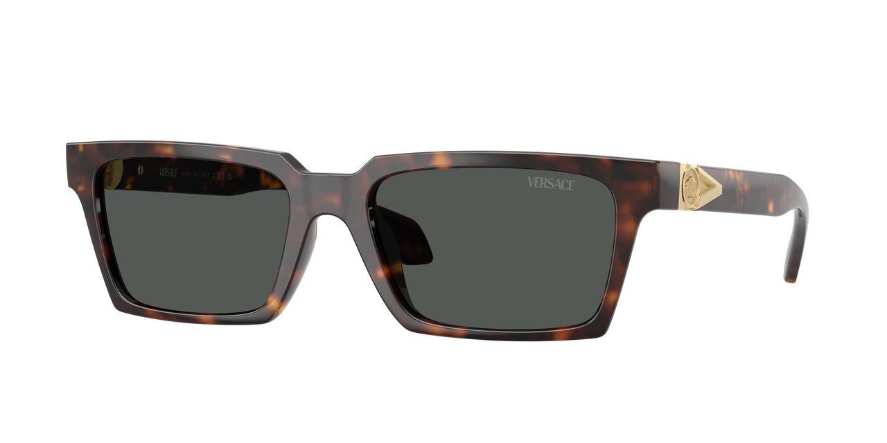 Versace 4490U Sunglasses