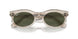 138331 - Grey - Green