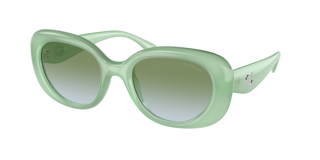 Coach Cr609 8391U Sunglasses