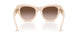 422313 - Pink - Brown Gradient