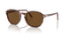 120957 - Red - Polar Brown
