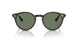 710/M1 - Havana - Photo Clear To Grey/green Quar