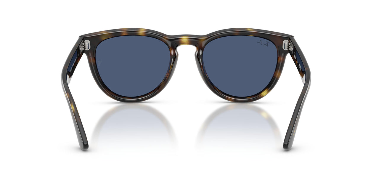 710/80 - Tortoise - Blue