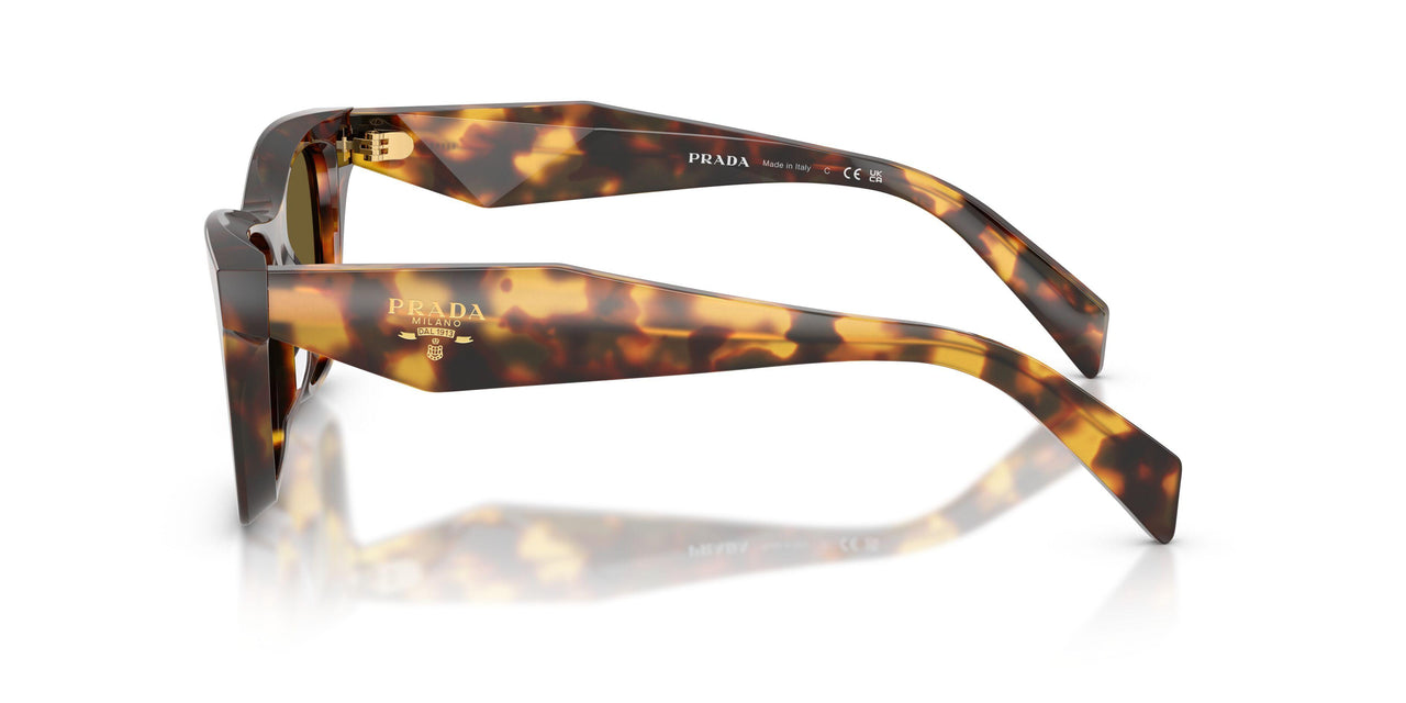 14L09Z - Tortoise - Dark Brown