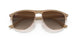 616613 - Light Brown - Brown Gradient Dark Brown