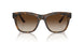 238613 - Brown - Brown Gradient
