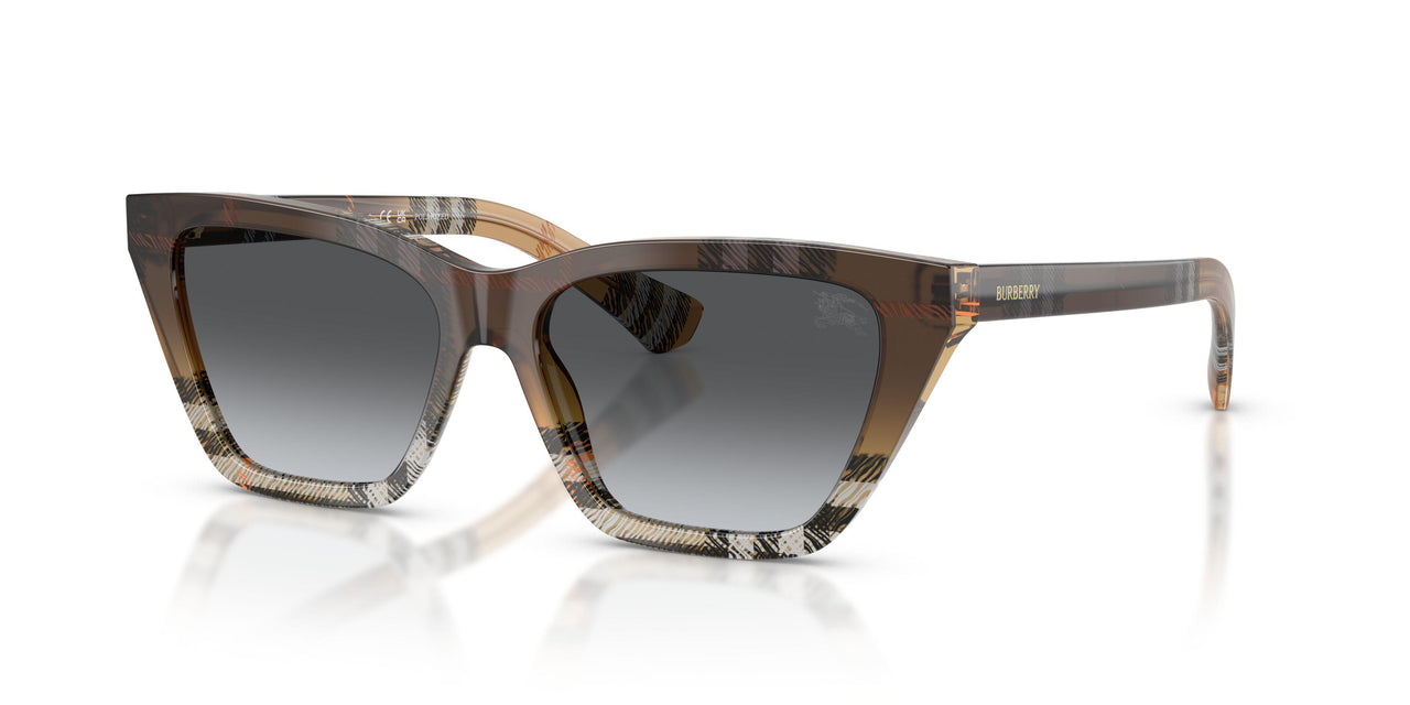 4202T3 - Brown - Gradient Grey Polar
