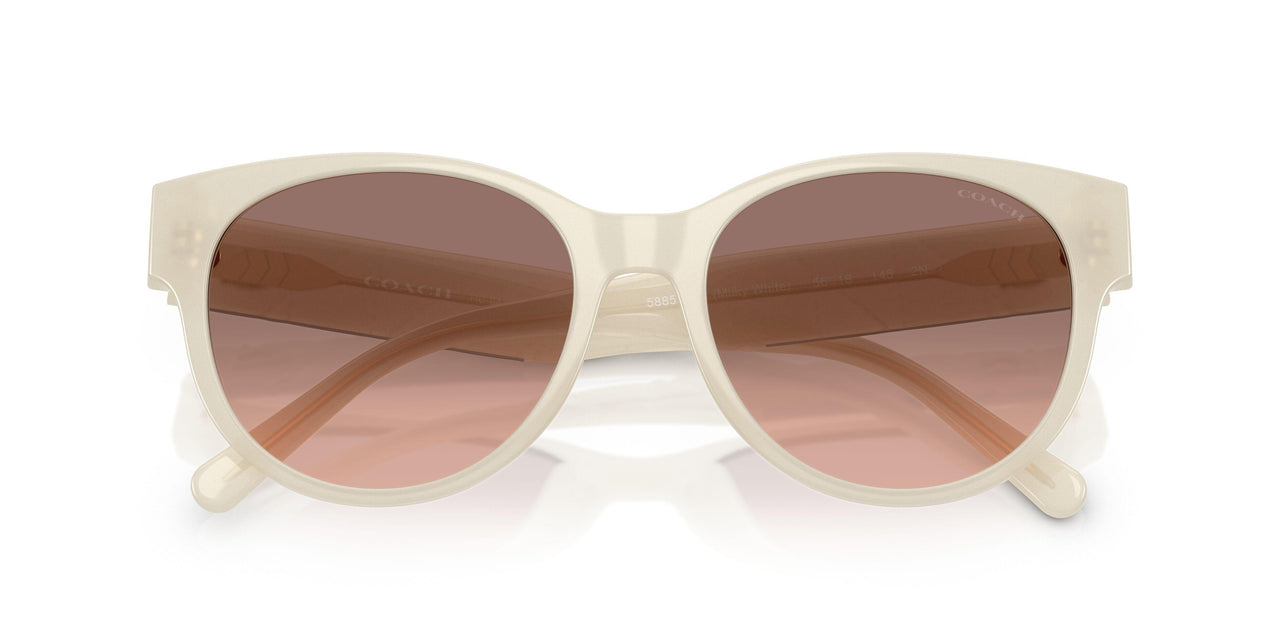 588513 - White - Brown Pink Gradient