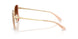 900574 - Brown - Brown Gradient
