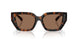 300273 - Brown - Dark Brown