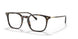 W656 - Brown