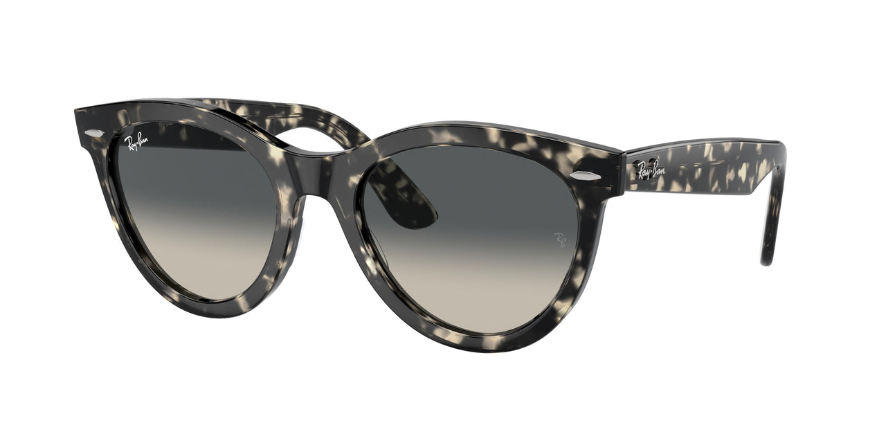 Ray-Ban Wayfarer Way 2241 Sunglasses