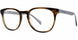 Adrienne Vittadini 6027 Eyeglasses