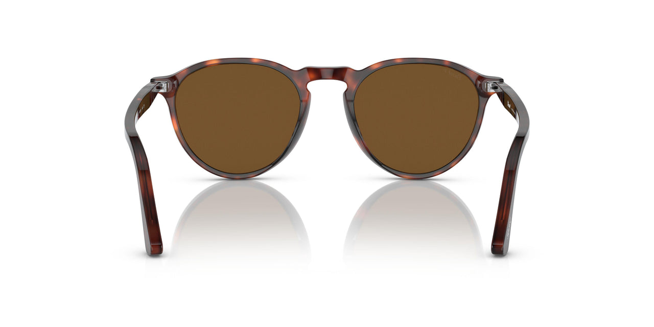 24/57 - Tortoise - Polar Brown