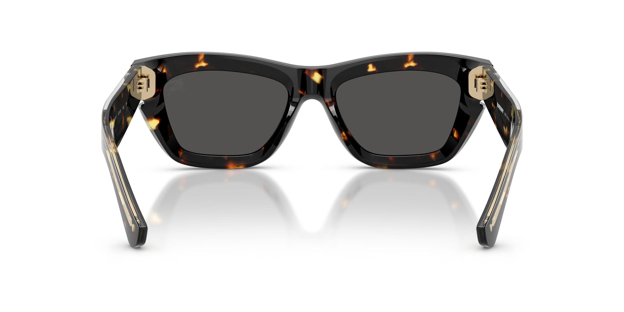 410687 - Tortoise - Dark Grey