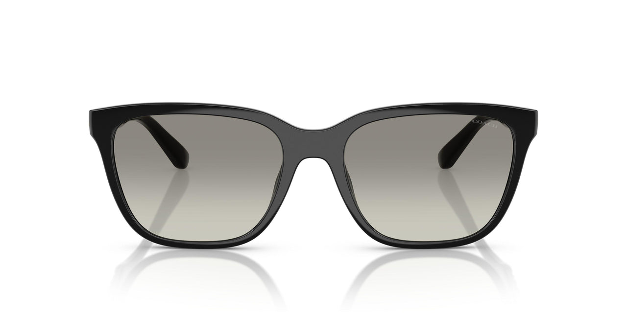 50023C - Black - Grey Gradient