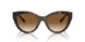 801551 - Tortoise - Clear Gradient Brown