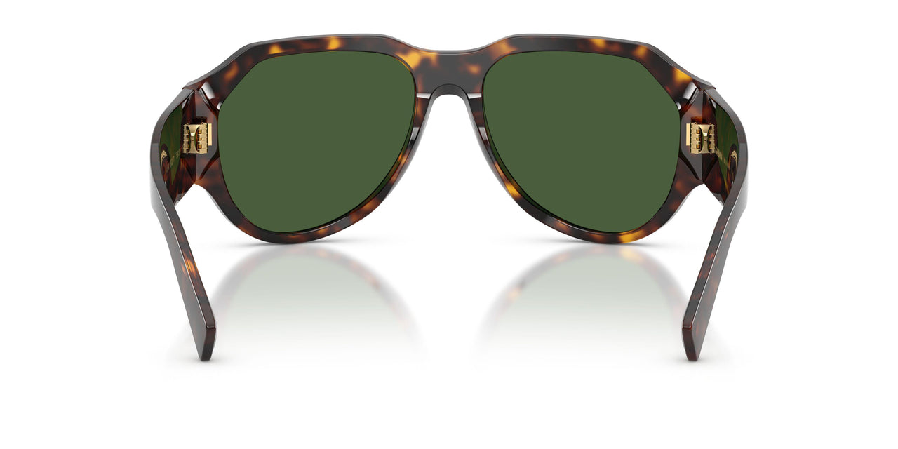 502/71 - Tortoise - Dark Green